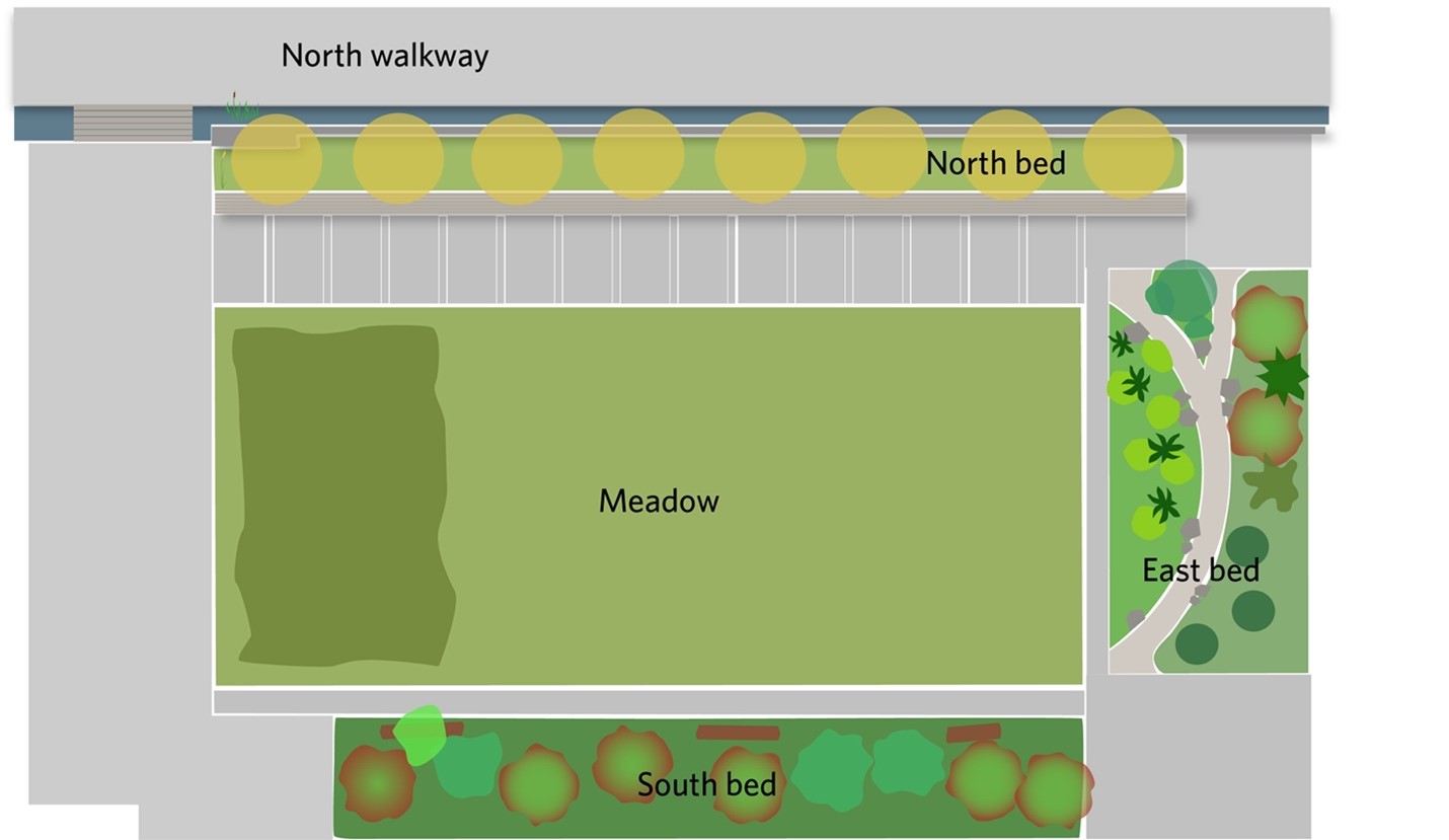 Map of the courtyard space - a meadow, with surrounding planting beds.