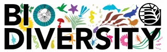 BRC Banner Logo